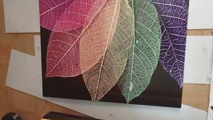 Translucent Leaf Triptych – Set of 3 (12x16),(8x11)